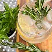 Rosé Spritz with Rosemary Infused Vodka Recipe